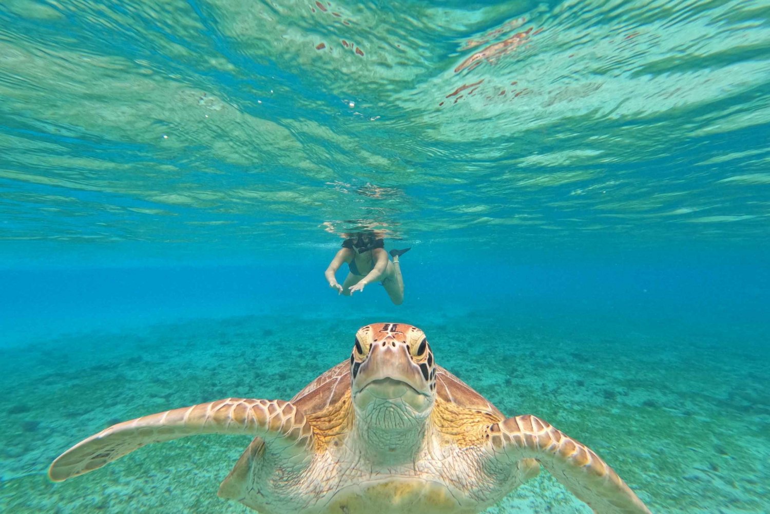 Gili-øyene: 2-timers snorkling med GoPro-kamera og guide