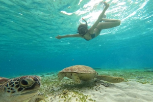 Isole Gili: 2 ore di snorkeling con videocamera GoPro e guida