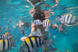 Gili-øerne: 2-timers snorkling med GoPro-kamera og guide