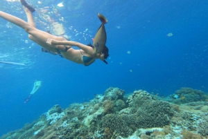 Îles Gili : 2 heures de plongée en apnée avec caméra GoPro et guide