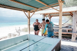 Gili Islands: 3 Island BBQ Day Cruise Snorkeling Tour