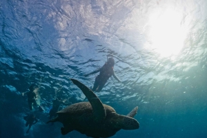 Gili Islands: 3 Island BBQ Day Cruise Snorkeling Tour