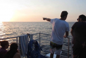 Gili-øerne: 3 øer BBQ Sunset Cruise med snorkling