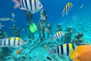 Tour privado de snorkel 3 islas con Gopro