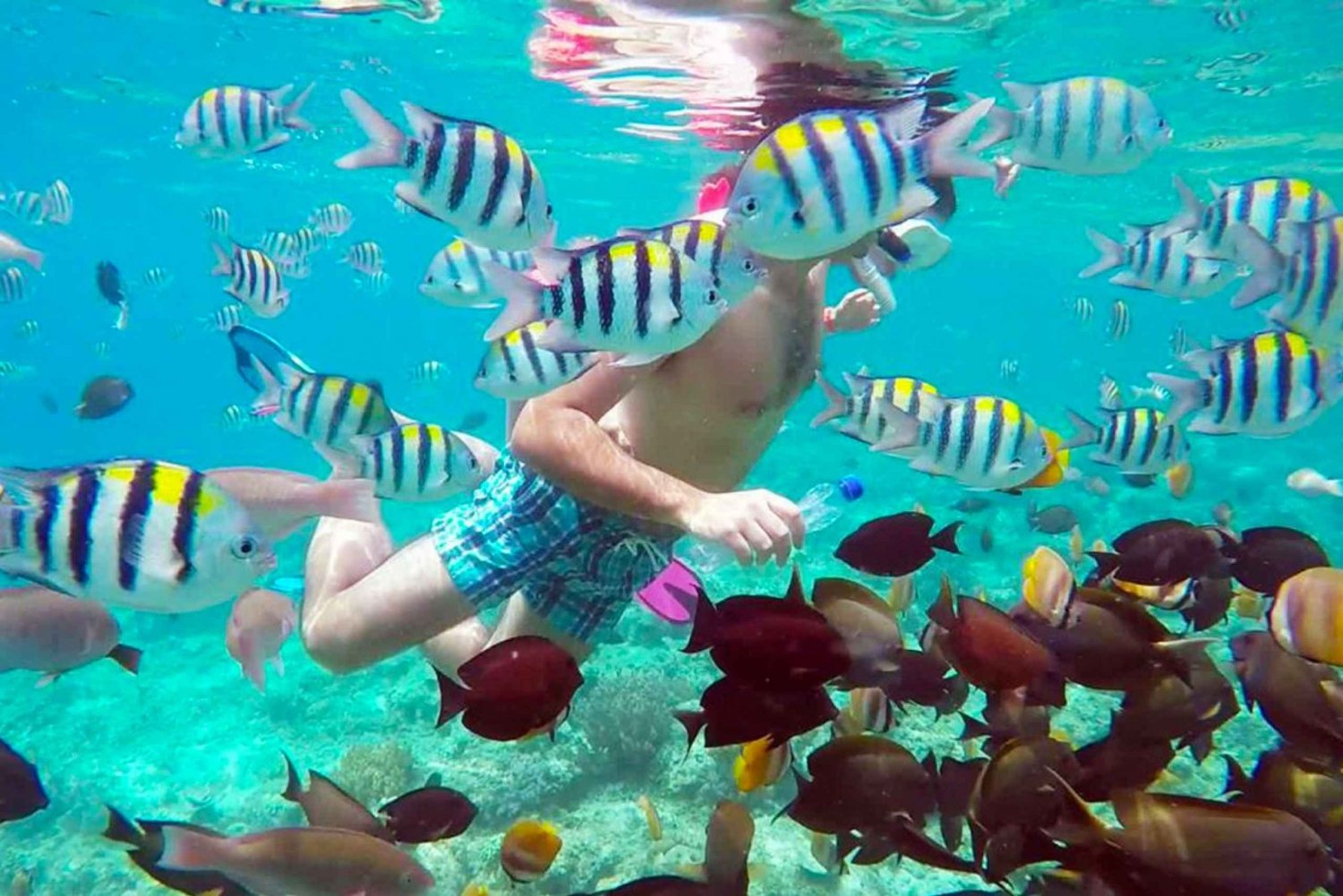 Gili Islands: Half-Day Snorkeling Tour with Pickup