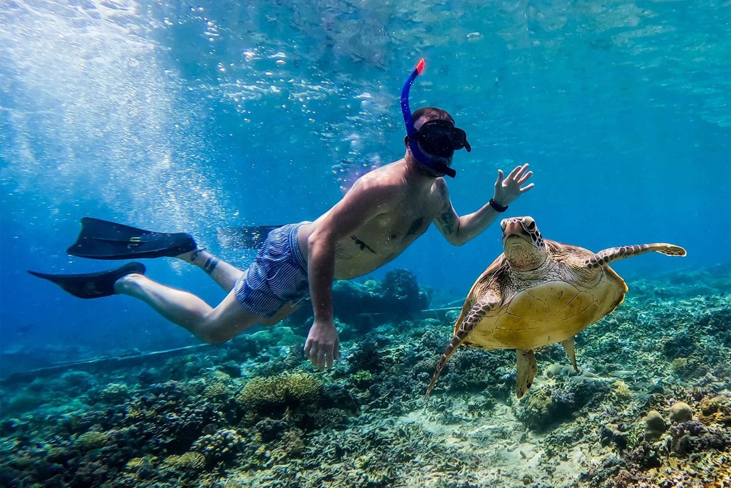 Islas Gili, Lombok: excursión privada de esnórquel en grupo de 4 horas