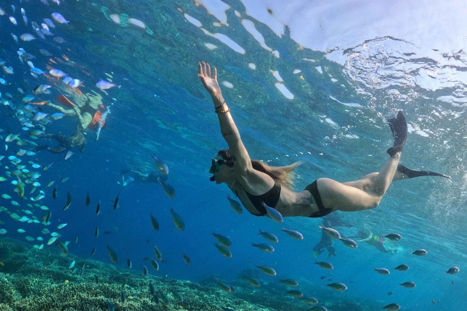 Gili Islands: Private or Shared Snorkeling Boat Trip
