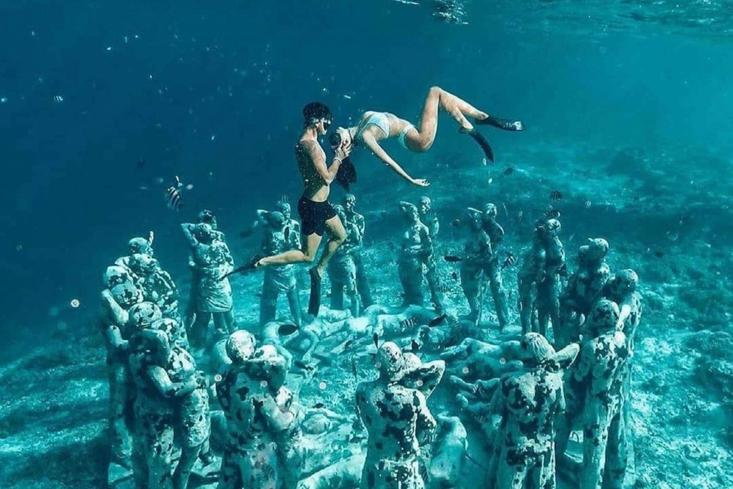 Isole Gili: Tour privato in barca per lo snorkeling con guida locale