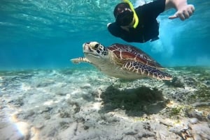 Gili-øerne: Privat bådtur med snorkling med lokal guide