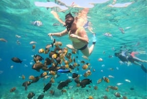 Gili Islands : Tour en bateau privé pour la plongée avec tuba avec un guide de la région.