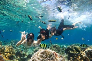 Gili Islands: Private Snorkeling Boat Tour with Local Guide