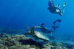 Gili Eilanden: Snorkel privé rondvaart met lokale gids