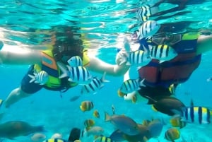 Islas Gili: Tour en barco privado de snorkel con guía local