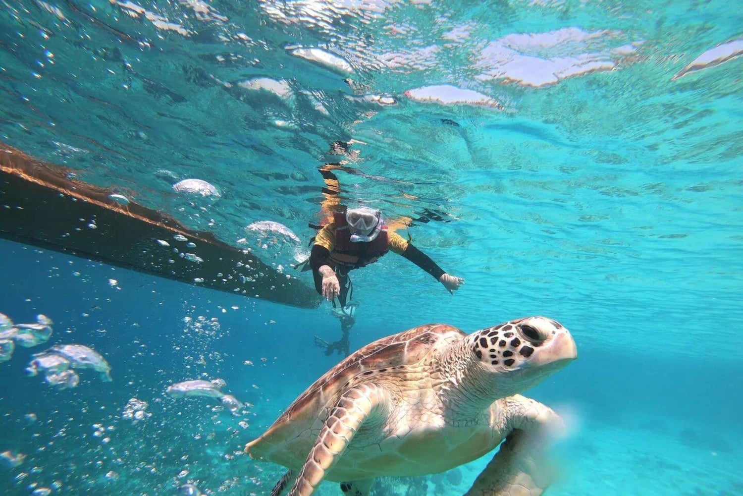 Gili Islands: Private or Shared Snorkeling Boat Trip