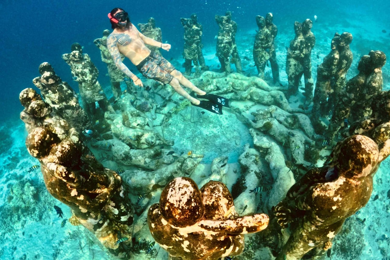 Gili Islands: Private or Shared Snorkeling Boat Trip