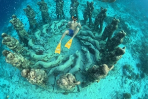 Gili-øerne: Privat eller delt snorkeltur med båd