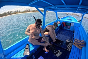 Gili-øerne: Privat eller delt snorkeltur med båd