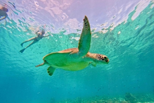 Islas Gili: Excursión de snorkel en barco privada o compartida