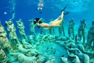 Gili-øerne: Privat eller delt snorkeltur med båd