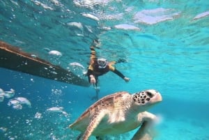 Gili Islands: Private or Shared Snorkeling Boat Trip