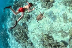 Gili Islands: Private or Shared Snorkeling Boat Trip