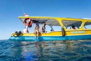 Gili Islands: Private or Shared Snorkeling Boat Trip