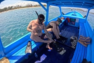 Gili Islands: Private or Shared Snorkeling Boat Trip