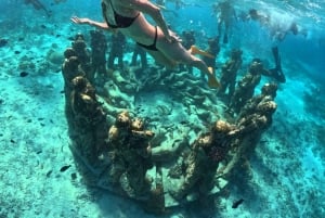 Gili Islands: Private or Shared Snorkeling Boat Trip