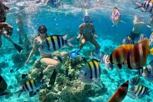 Gili Islands: Private or Shared Snorkeling Boat Trip