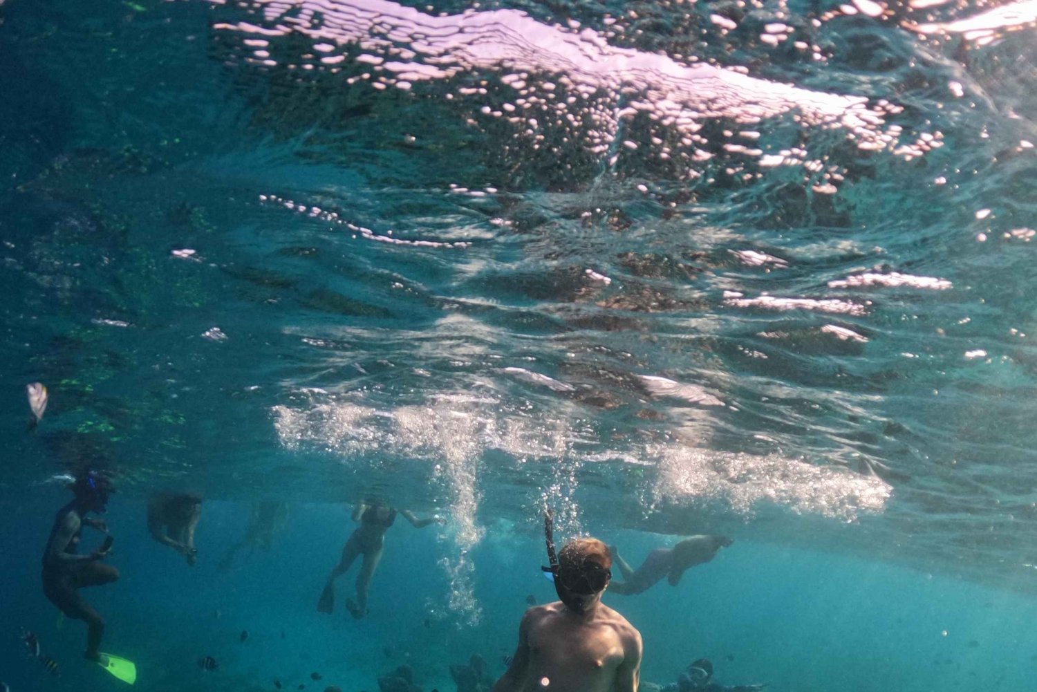 Îles Gili : Visite privée de plongée en apnée avec bateau à fond de verre.