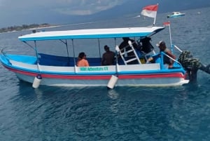 Isole Gili: Tour privato di snorkeling con barca con fondo di vetro