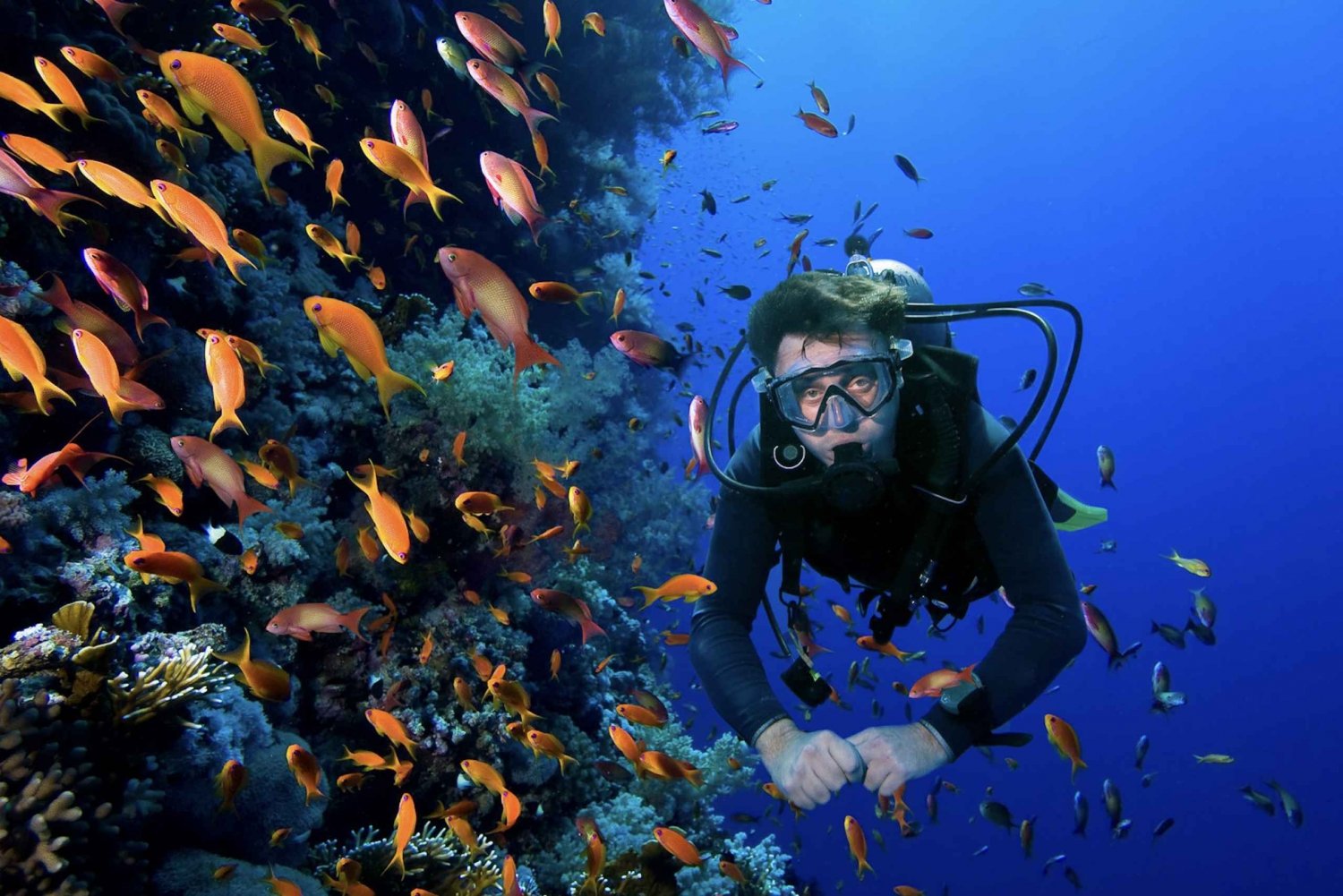 Gili eilanden: Duiken - Indonesië