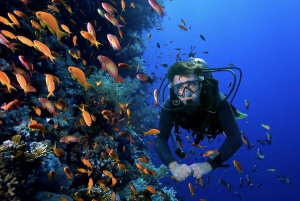 Gili Islands: Scuba dive - Indonesia