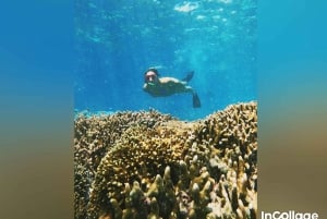 Fra Gili Island: Snorkeltur på 3 øer med Gopro