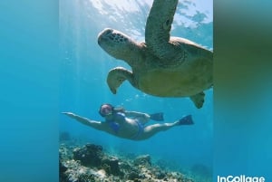 Fra Gili Island: Snorkeltur på 3 øer med Gopro