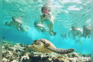 Depuis l'île de Gili : Tour des 3 îles en plongée avec masque et tuba avec Gopro