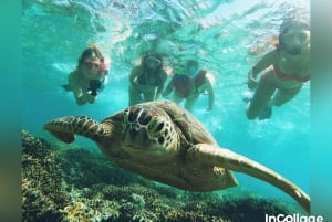 Van Gili eiland: Snorkeltour 3 eilanden met Gopro