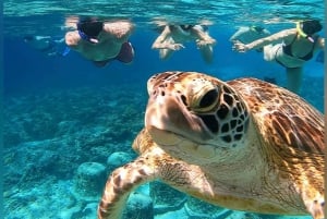 Depuis l'île de Gili : Tour des 3 îles en plongée avec masque et tuba avec Gopro