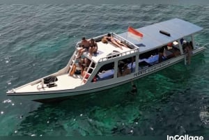 Von der Insel Gili aus: Schnorchel Tour 3 Inseln mit Gopro