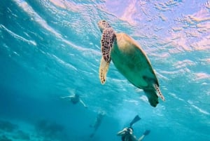 Van Gili eiland: Snorkeltour 3 eilanden met Gopro