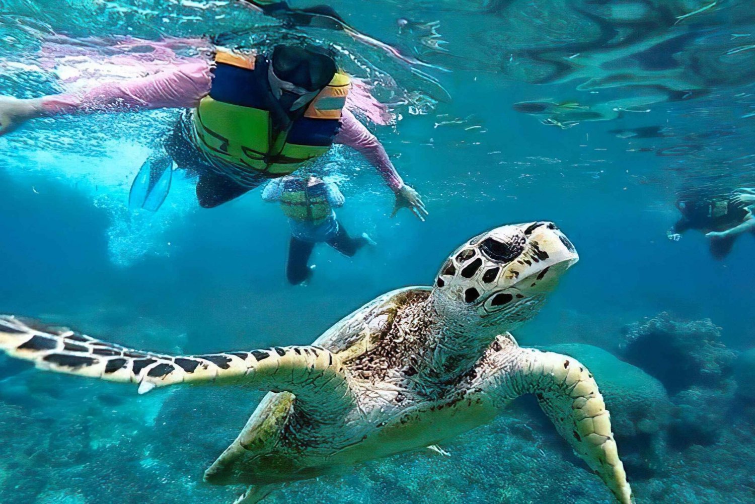 Aventura de snorkel en las Islas Gili