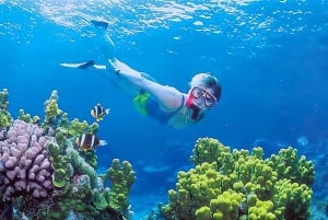 Aventura de snorkel en las Islas Gili