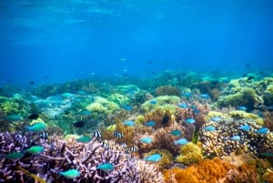 Aventure de plongée en apnée dans les îles Gili