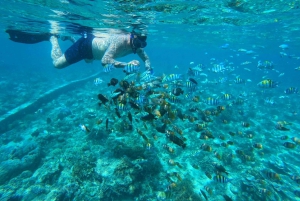 Gili Islands Snorkeling Day Trip with private speedboat