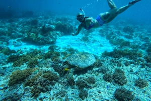 Gili Islands Snorkeling Day Trip with private speedboat