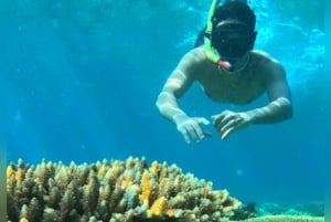 Au départ de l'île de Gili : excursion de plongée avec tuba et coucher de soleil avec Gopro