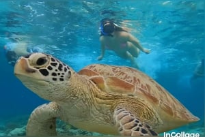 Dall'isola di Gili: gita di snorkeling e tour al tramonto con Gopro