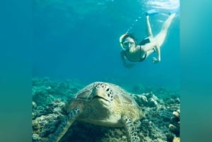 Vanaf Gili eiland: snorkeltrip & zonsondergang met Gopro