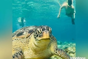 Von der Insel Gili aus: Schnorcheltrip und Sunset Tour mit Gopro