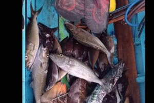 Isole Gili: Tour di pesca subacquea